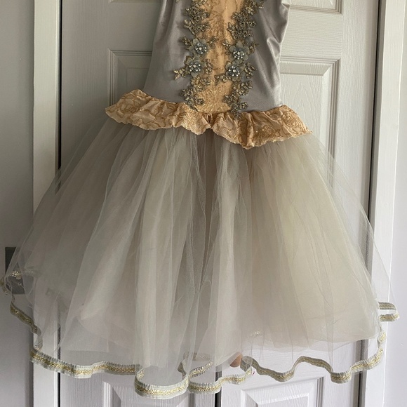 Adult Ballet Costume - Picture 2 of 7